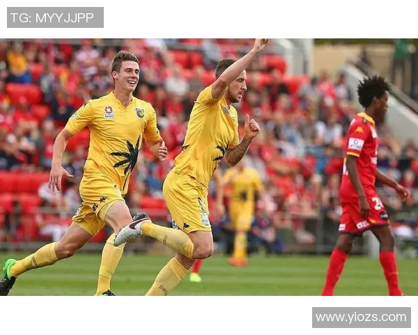 北京北控迎战惠灵顿凤凰力争主场胜利展现球队实力与风采