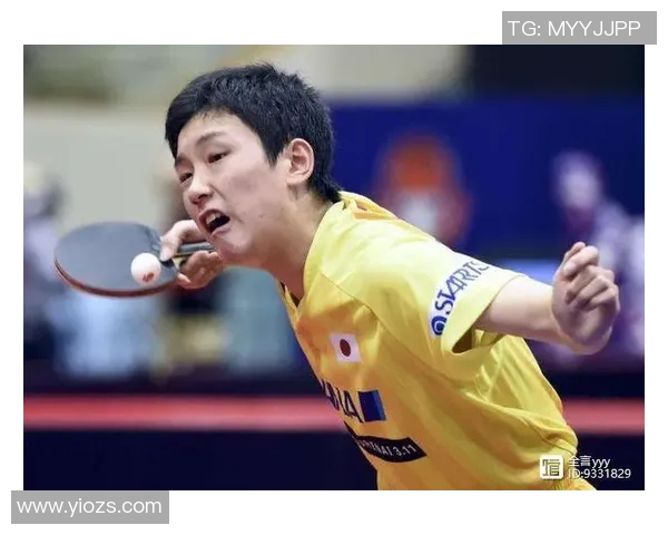 从零基础到乒乓球耐力提升全攻略助你成为乒乓高手