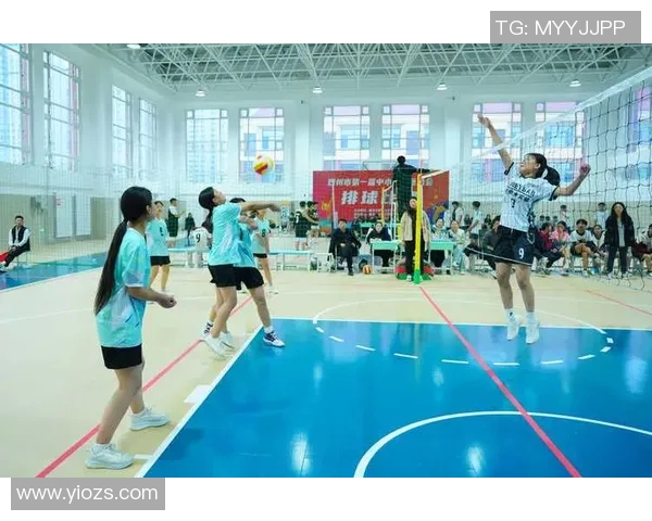 排球新手必看：从零开始的比赛经验与技巧全面指南